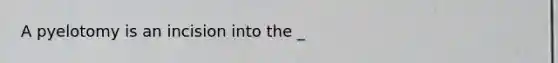 A pyelotomy is an incision into the _