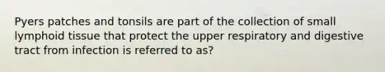 Pyers patches and tonsils are part of the collection of small lymphoid tissue that protect the upper respiratory and digestive tract from infection is referred to as?