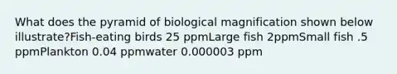 What does the pyramid of biological magnification shown below illustrate?Fish-eating birds 25 ppmLarge fish 2ppmSmall fish .5 ppmPlankton 0.04 ppmwater 0.000003 ppm