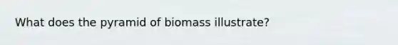 What does the pyramid of biomass illustrate?