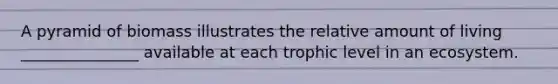 A pyramid of biomass illustrates the relative amount of living _______________ available at each trophic level in an ecosystem.