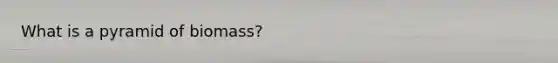 What is a pyramid of biomass?
