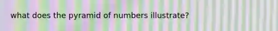 what does the pyramid of numbers illustrate?