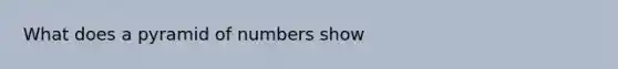 What does a pyramid of numbers show