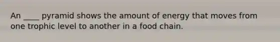 An ____ pyramid shows the amount of energy that moves from one trophic level to another in a food chain.