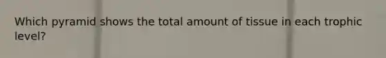 Which pyramid shows the total amount of tissue in each trophic level?