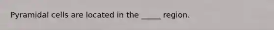 Pyramidal cells are located in the _____ region.