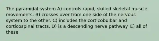 The pyramidal system A) controls rapid, skilled skeletal muscle movements. B) crosses over from one side of the nervous system to the other. C) includes the corticobulbar and corticospinal tracts. D) is a descending nerve pathway. E) all of these