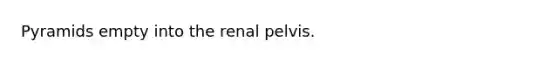 Pyramids empty into the renal pelvis.