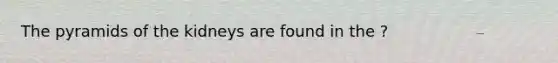 The pyramids of the kidneys are found in the ?