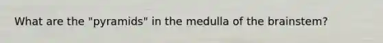 What are the "pyramids" in the medulla of the brainstem?