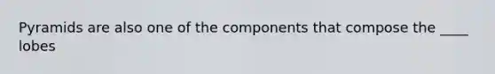 Pyramids are also one of the components that compose the ____ lobes