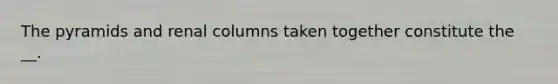 The pyramids and renal columns taken together constitute the __.