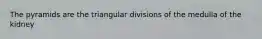 The pyramids are the triangular divisions of the medulla of the kidney