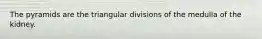 The pyramids are the triangular divisions of the medulla of the kidney.