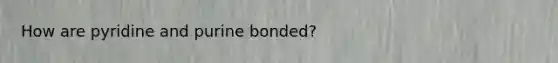 How are pyridine and purine bonded?