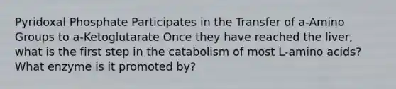 Pyridoxal Phosphate Participates in the Transfer of a-Amino Groups to a-Ketoglutarate Once they have reached the liver, what is the first step in the catabolism of most L-amino acids? What enzyme is it promoted by?