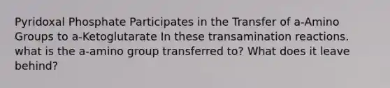 Pyridoxal Phosphate Participates in the Transfer of a-Amino Groups to a-Ketoglutarate In these transamination reactions. what is the a-amino group transferred to? What does it leave behind?