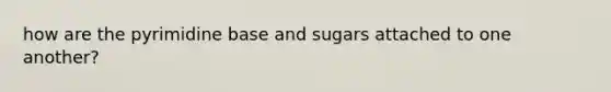 how are the pyrimidine base and sugars attached to one another?