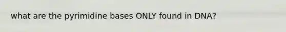 what are the pyrimidine bases ONLY found in DNA?