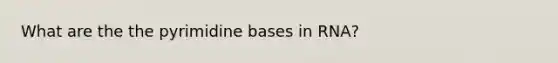 What are the the pyrimidine bases in RNA?