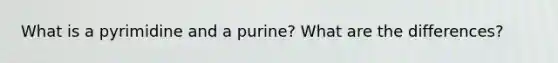 What is a pyrimidine and a purine? What are the differences?