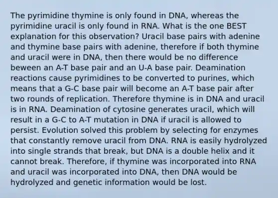 The pyrimidine thymine is only found in DNA, whereas the pyrimidine uracil is only found in RNA. What is the one BEST explanation for this observation? Uracil base pairs with adenine and thymine base pairs with adenine, therefore if both thymine and uracil were in DNA, then there would be no difference beween an A-T base pair and an U-A base pair. Deamination reactions cause pyrimidines to be converted to purines, which means that a G-C base pair will become an A-T base pair after two rounds of replication. Therefore thymine is in DNA and uracil is in RNA. Deamination of cytosine generates uracil, which will result in a G-C to A-T mutation in DNA if uracil is allowed to persist. Evolution solved this problem by selecting for enzymes that constantly remove uracil from DNA. RNA is easily hydrolyzed into single strands that break, but DNA is a double helix and it cannot break. Therefore, if thymine was incorporated into RNA and uracil was incorporated into DNA, then DNA would be hydrolyzed and genetic information would be lost.