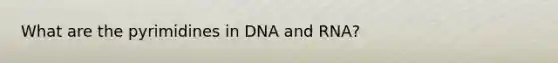 What are the pyrimidines in DNA and RNA?