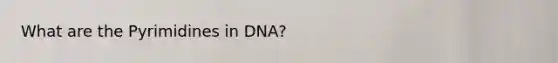 What are the Pyrimidines in DNA?