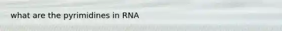 what are the pyrimidines in RNA