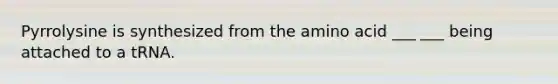 Pyrrolysine is synthesized from the amino acid ___ ___ being attached to a tRNA.