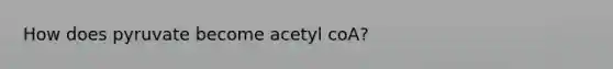 How does pyruvate become acetyl coA?