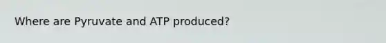 Where are Pyruvate and ATP produced?