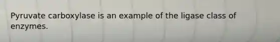 Pyruvate carboxylase is an example of the ligase class of enzymes.