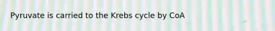 Pyruvate is carried to the Krebs cycle by CoA