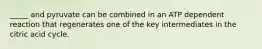 _____ and pyruvate can be combined in an ATP dependent reaction that regenerates one of the key intermediates in the citric acid cycle.
