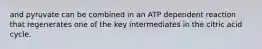 and pyruvate can be combined in an ATP dependent reaction that regenerates one of the key intermediates in the citric acid cycle.