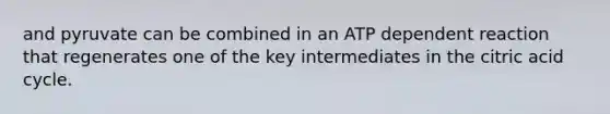 and pyruvate can be combined in an ATP dependent reaction that regenerates one of the key intermediates in the citric acid cycle.