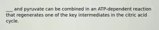 ___ and pyruvate can be combined in an ATP-dependent reaction that regenerates one of the key intermediates in the citric acid cycle.