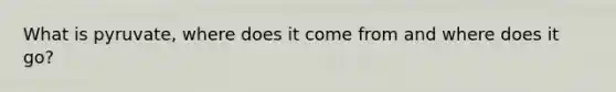 What is pyruvate, where does it come from and where does it go?