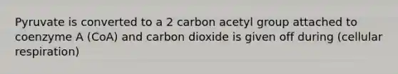 Pyruvate is converted to a 2 carbon acetyl group attached to coenzyme A (CoA) and carbon dioxide is given off during (cellular respiration)