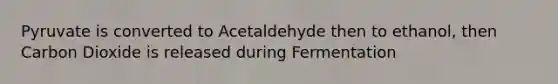 Pyruvate is converted to Acetaldehyde then to ethanol, then Carbon Dioxide is released during Fermentation