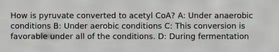 How is pyruvate converted to acetyl CoA? A: Under anaerobic conditions B: Under aerobic conditions C: This conversion is favorable under all of the conditions. D: During fermentation