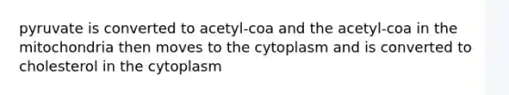 pyruvate is converted to acetyl-coa and the acetyl-coa in the mitochondria then moves to the cytoplasm and is converted to cholesterol in the cytoplasm