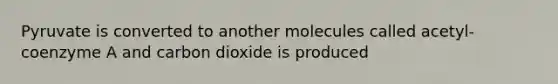 Pyruvate is converted to another molecules called acetyl-coenzyme A and carbon dioxide is produced