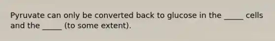 Pyruvate can only be converted back to glucose in the _____ cells and the _____ (to some extent).