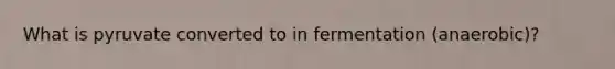 What is pyruvate converted to in fermentation (anaerobic)?