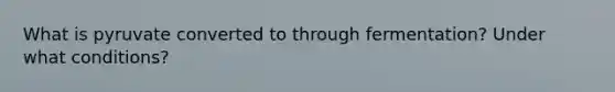 What is pyruvate converted to through fermentation? Under what conditions?
