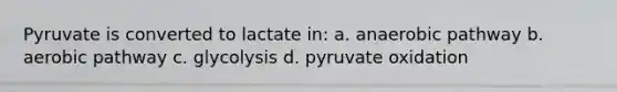 Pyruvate is converted to lactate in: a. anaerobic pathway b. aerobic pathway c. glycolysis d. pyruvate oxidation