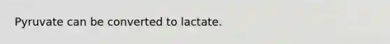 Pyruvate can be converted to lactate.